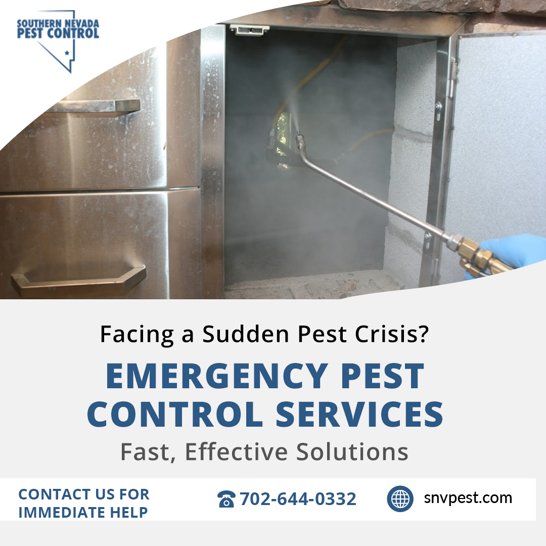SNVPest's tweet image. 🚨 Pest emergency? Our Pest Control Service is just a call away! Fast, effective solutions for any pest crisis. Call us at 📞 702-644-0332 🌐 snvpest.com #EmergencyPestControl #FastResponse #PestControlService