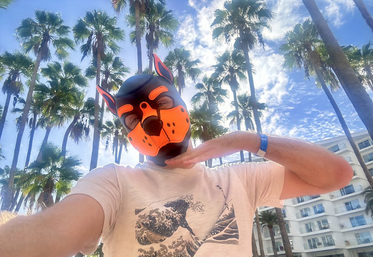 Pup_Ferro's tweet photo. Pawsitively Glowing 🐾☀️

From my last day in Gran Canaria for @MFW_GC https://t.co/BZHhecgKD6