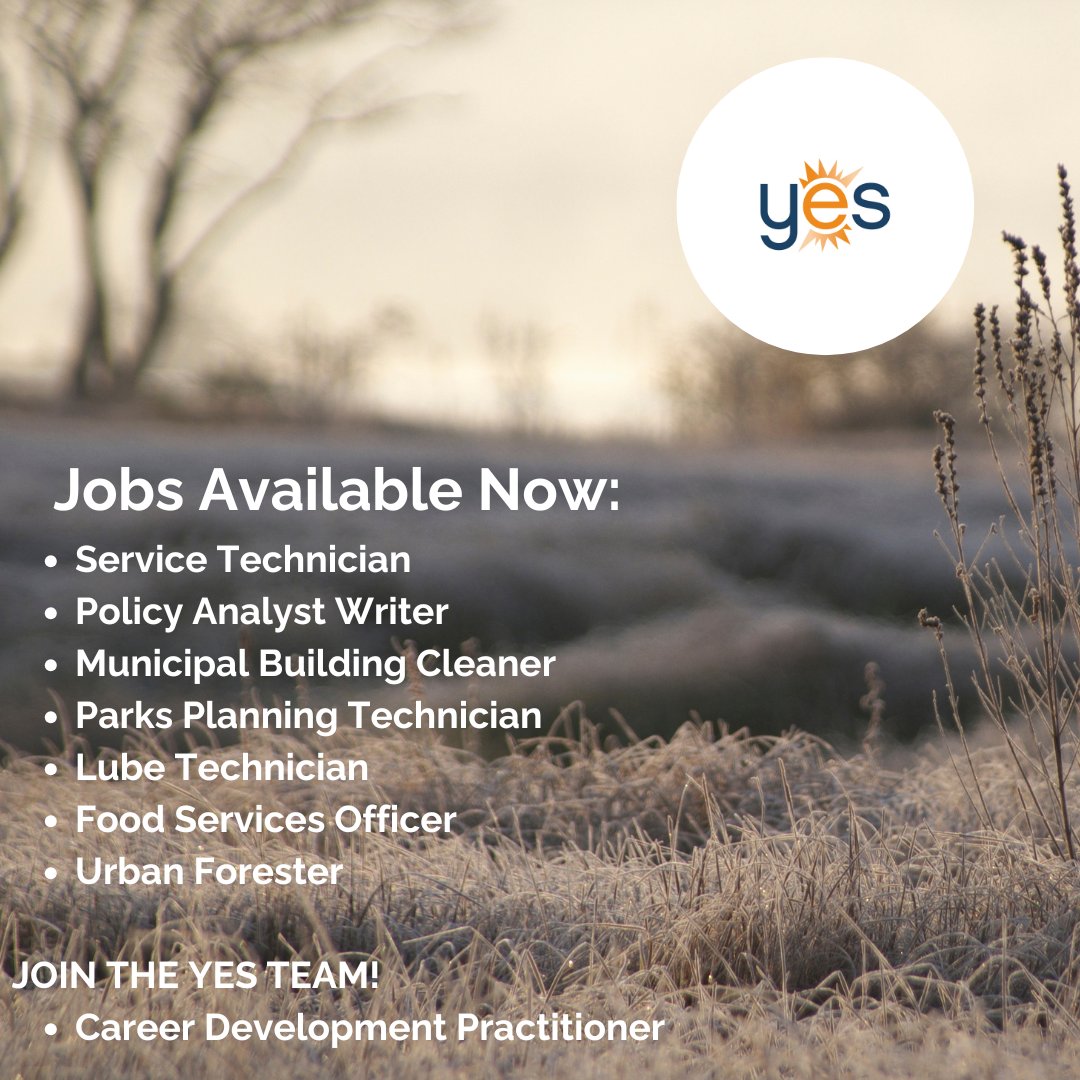 Here are this week's featured jobs.  To view all job postings visit our website: yesjobsnow.com/job-bank/.   If you want to join the YES team, we have an opportunity posted for a Career Development Practitioner.  Check it out!