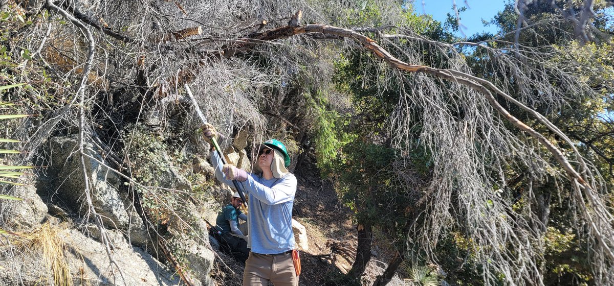 ⛰️San Gabriel Mountains Trailbuilders ⛰️ tweet media