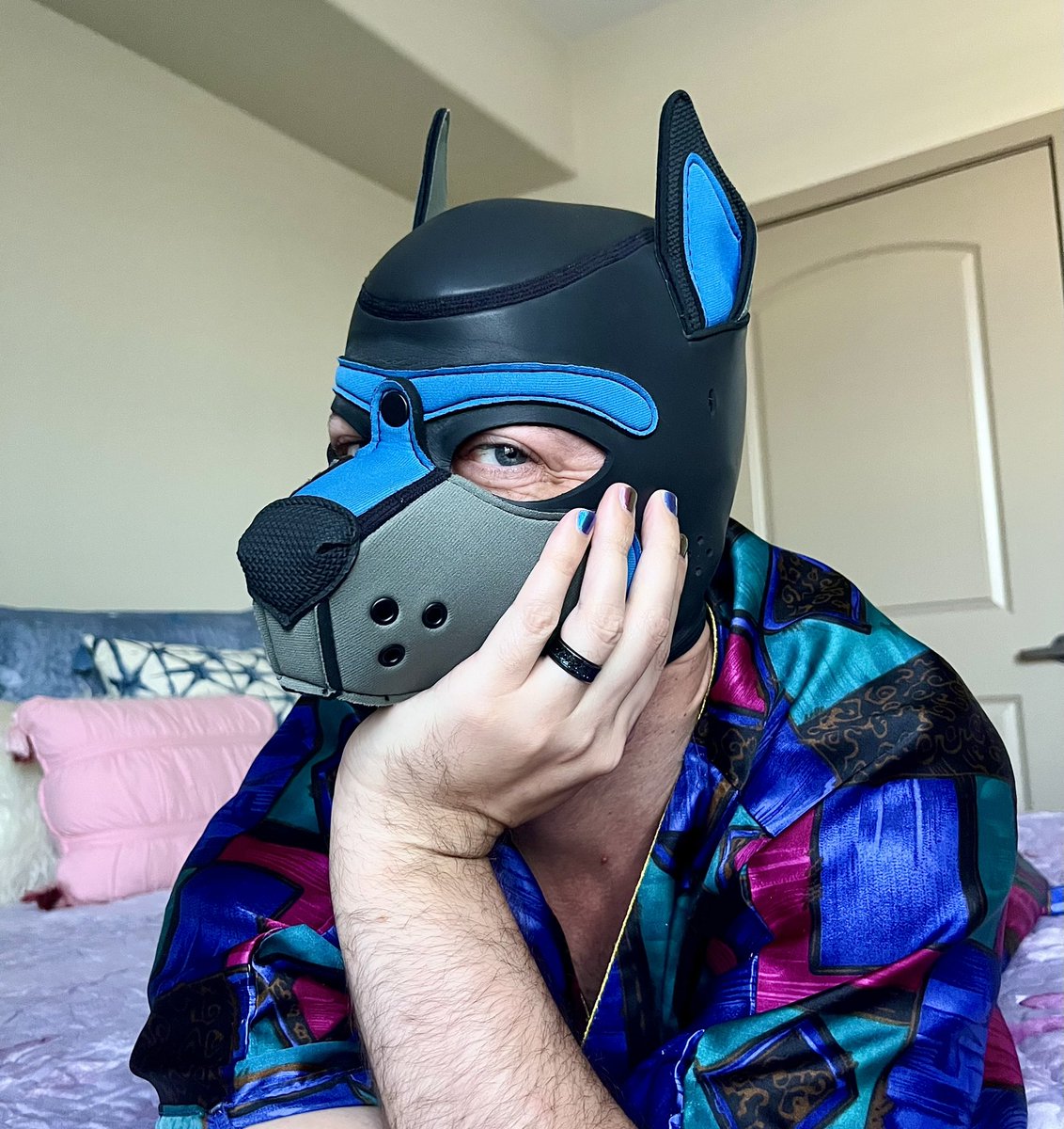 Pup Roger tweet media