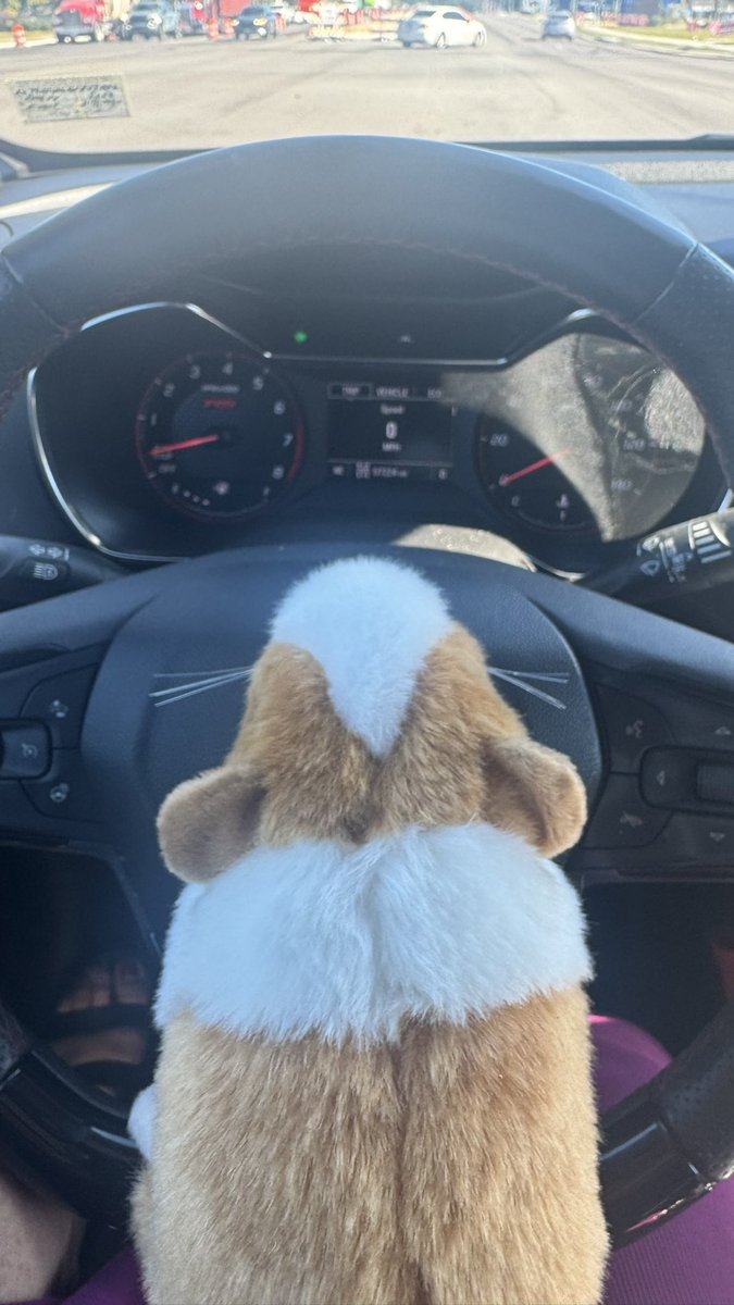 Watch out! Humphrey is on his way to check out ADR recordings at <a href="/CPPA_SPS/">The Center for Performing and Production Arts</a> <a href="/SufVAschools/">Suffolk Public Schools</a>! He insisted he drive! What else will this hamster tell our elementary readers in a couple of weeks?!?! <a href="/jsojuro/">Jennifer Soriano</a> he said he has a license!!!