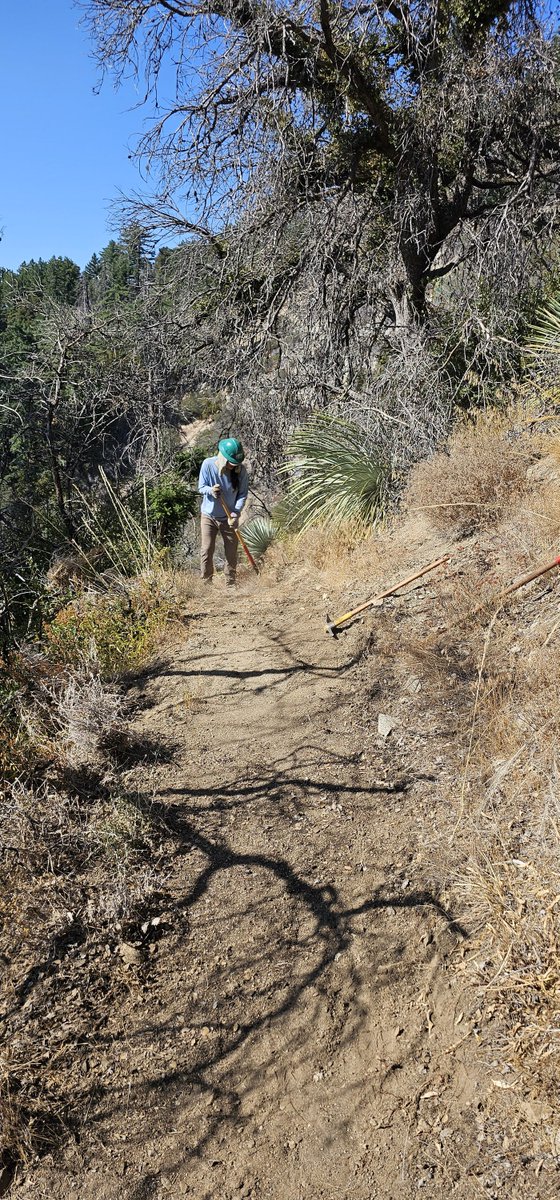 ⛰️San Gabriel Mountains Trailbuilders ⛰️ tweet media