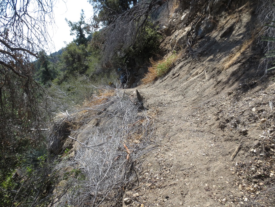 ⛰️San Gabriel Mountains Trailbuilders ⛰️ tweet media