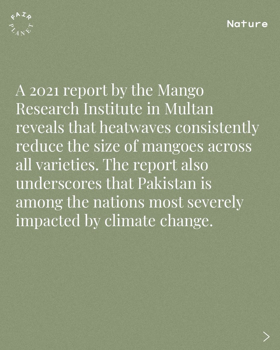 FairPlanet tweet media