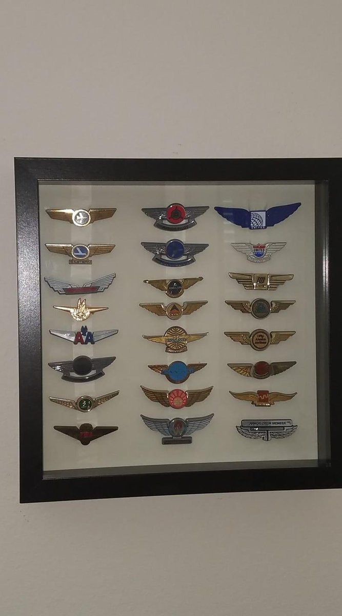GigiBlock1's tweet image. My #airline kiddie wings collection.