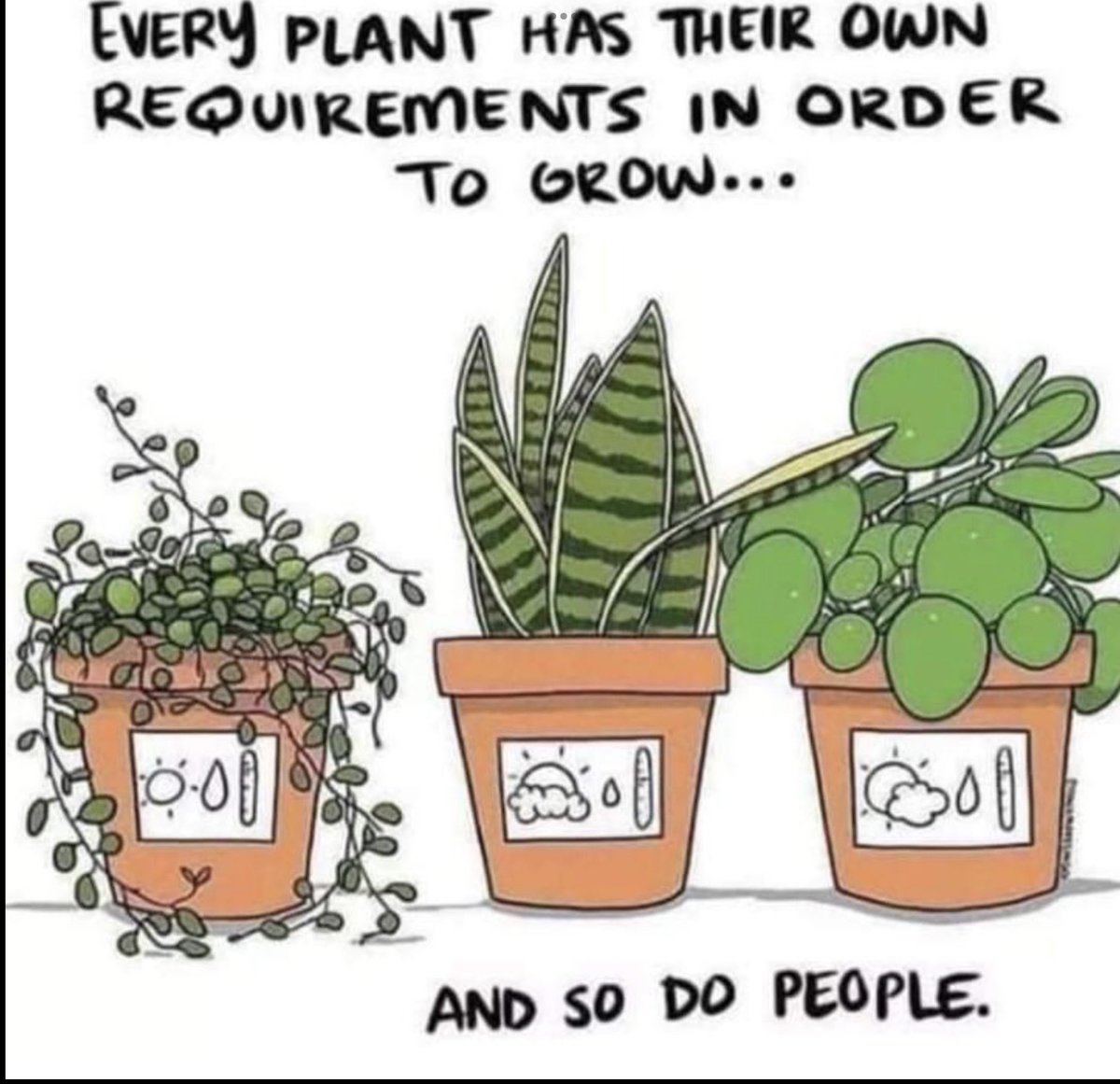 STelepneff's tweet image. We all need unique conditions in which to thrive and grow. It’s just about finding out and discovering what these conditions are #conditionstothrive #weareallunique