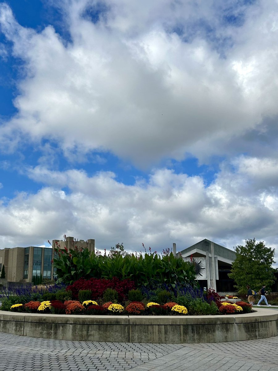 Tanny McGregor tweet media