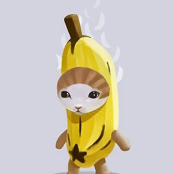 BananaCat_CTO's tweet image. Banana cat was deployed from the wallet as Bongo Cat (Currently at ATH 20m). The dev left and the CTO team took over, now it is the turn of Banana Cat

Deploy tx - solscan.io/tx/5ZYR6U9QASj…
