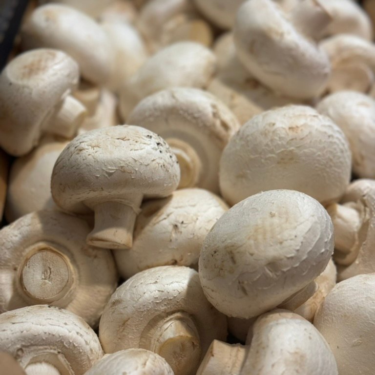 engocha food truck tweet media