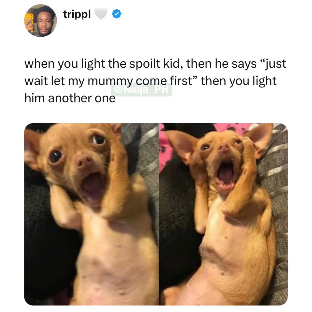 Naija_PR's tweet image. The way he said “light”😂🤌🏽