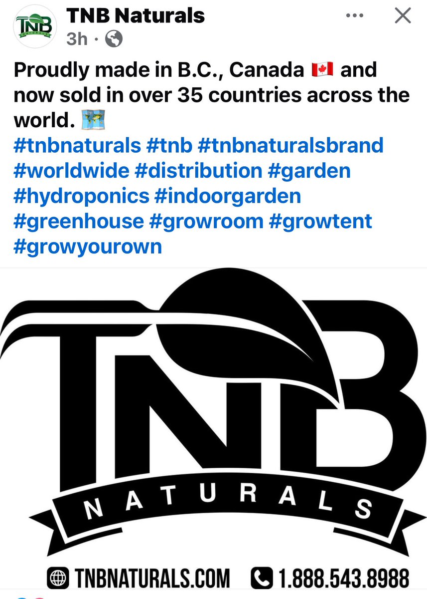 Steph 🇨🇦🌿💨 tweet media