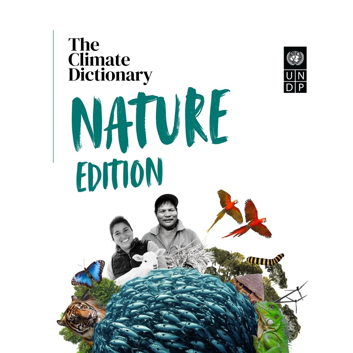 🌿✨ Learn about <a href="/UNDP/">UN Development</a>'s Climate Dictionary - Nature Edition! Discover essential terms that connect us to our planet's health and climate resilience. 

Stay tuned for words and definitions! 🌍💚 

Learn more: climatepromise.undp.org/news-and-stori…

#PeaceWithNature