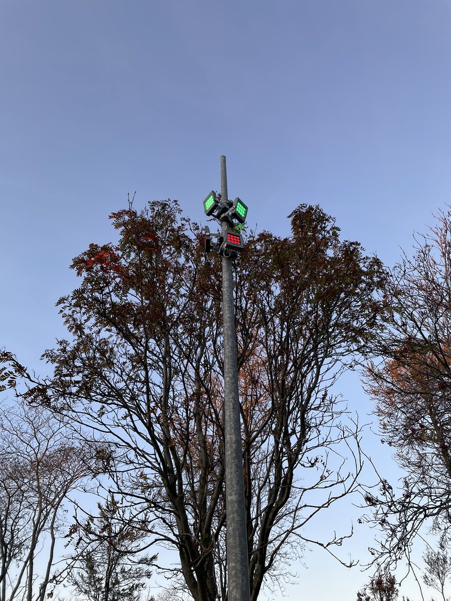 Er þetta umferðarljós á fuglana? Hvað er þetta?