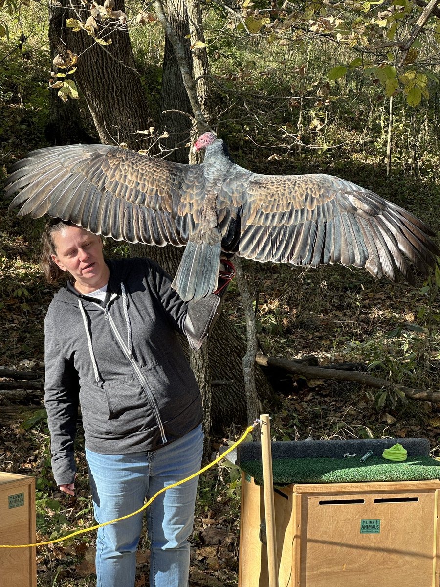 Elizabeth Mottaz & Kate Ross tweet media