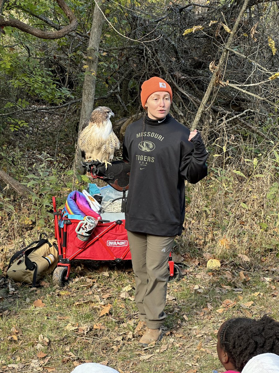 Bird Day Station: Raptors