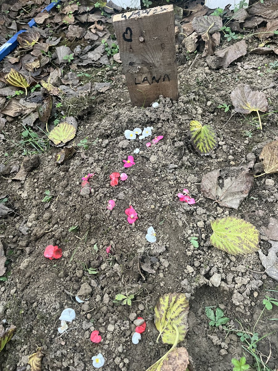 Huzur içinde uyu meleğim