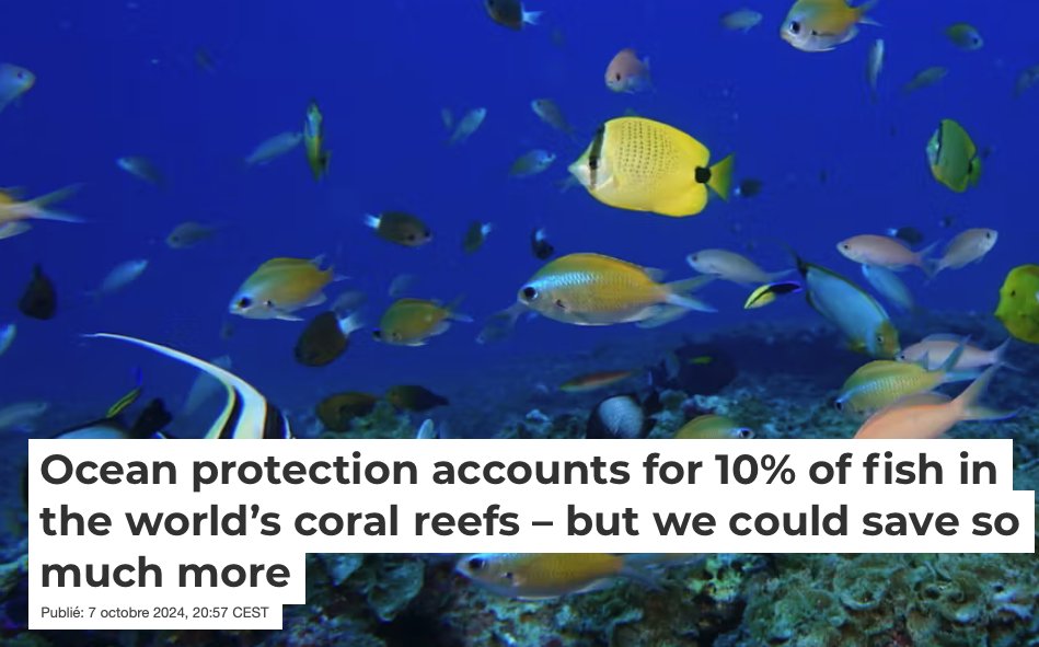Counterfactual scenarios predict 5.7% less fish biomass without fishing restrictions on coral reefs
doi.org/10.1073/pnas.2…

With 30% coverage of fully protected #MPAs, fish biomass would be ~17 to 28% higher depending on the context

Highest gains where human gravity is low