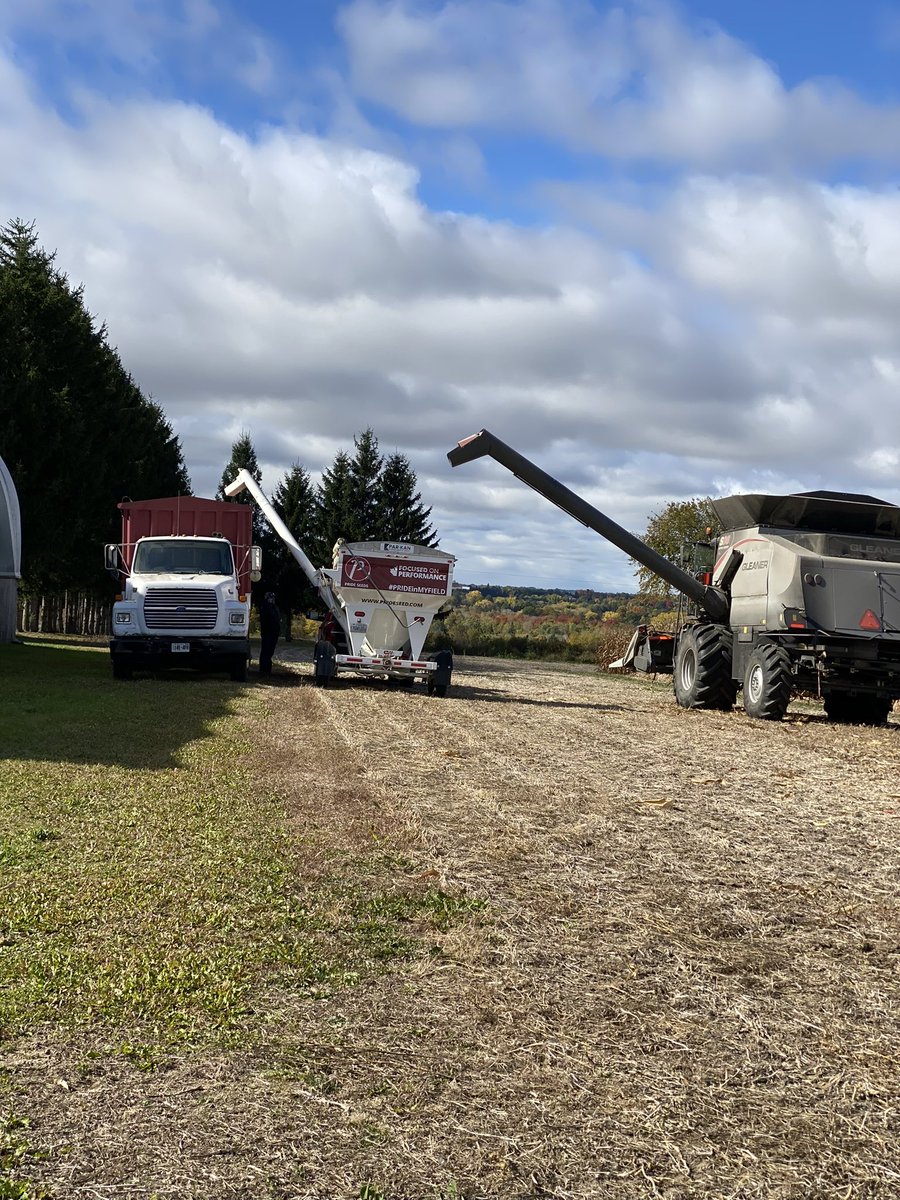 Corn plots being taken off today. Moisture is between 18-21%. Still waiting on yields.
