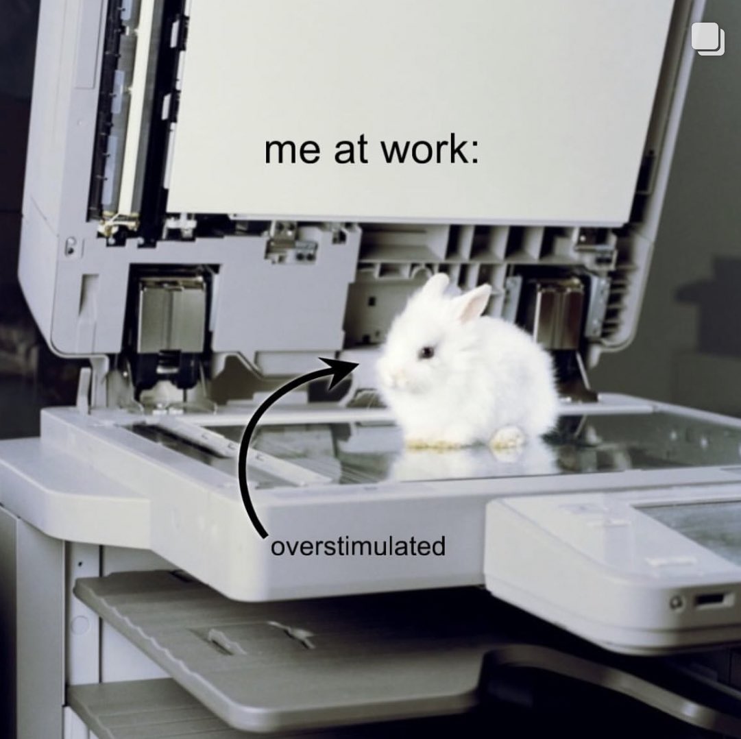 whotfisjovana's tweet image. ㅤ