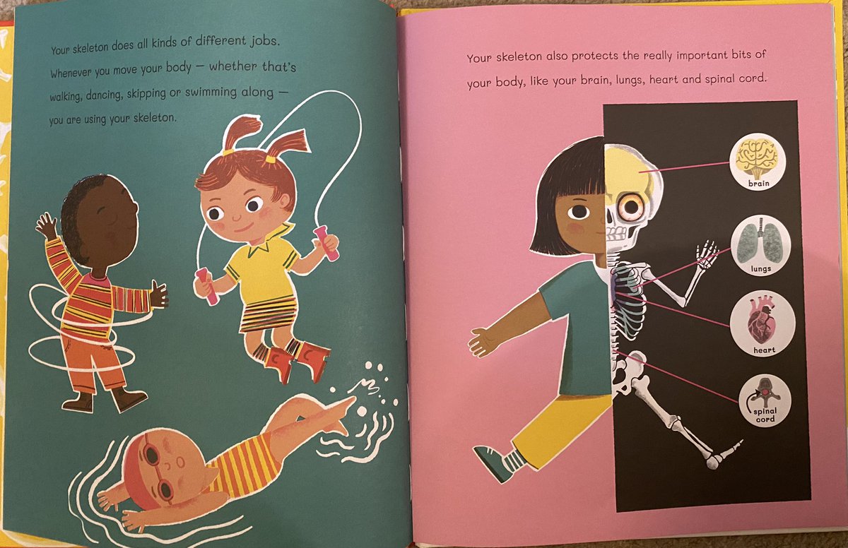 melissacreate15's tweet photo. An acessible introduction to our skeleton, bones and muscles. Great for year 2, year 3 and year 4. #sciencenonfiction @BooksTales @TeresaCremin @jacquiS21 @PaulWat5 @MrsETeacher @LTeacher123 @MrsKirstBarrett @BeardPiula @OpenUni_RfP #ReadersthatCare https://t.co/0jbygCtxzT