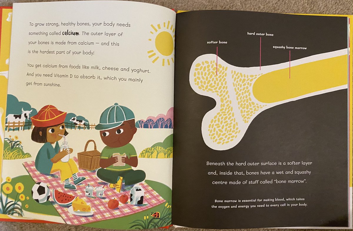 melissacreate15's tweet photo. An acessible introduction to our skeleton, bones and muscles. Great for year 2, year 3 and year 4. #sciencenonfiction @BooksTales @TeresaCremin @jacquiS21 @PaulWat5 @MrsETeacher @LTeacher123 @MrsKirstBarrett @BeardPiula @OpenUni_RfP #ReadersthatCare https://t.co/0jbygCtxzT