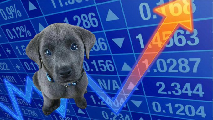 It should be $BLUE

First dog in #SUINETWORK

Community growing fast

Experienced team

It was creating a few days ago and it has solid team with a growing community
 
CA 0x6894cde390a3f51155ea41ed24a33a4827d3063d 
 
TG t.me/bluedogcto

easy 100x from here