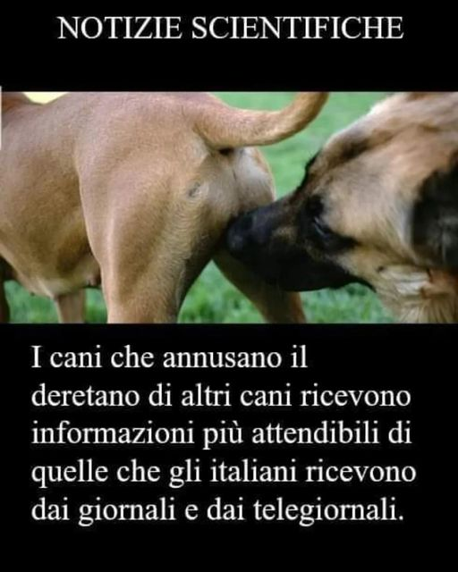 pier luigi pinna tweet media