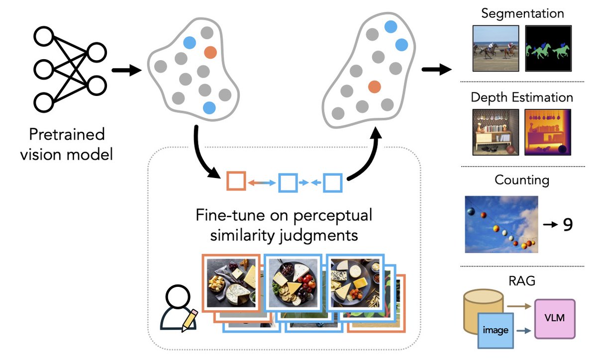 What happens when models see the world as humans do?

In our #NeurIPS2024 paper we show that aligning to human perceptual preferences can *improve* general-purpose representations!

📝: arxiv.org/abs/2410.10817
🌐: percep-align.github.io
💻: github.com/ssundaram21/dr…

(1/n)