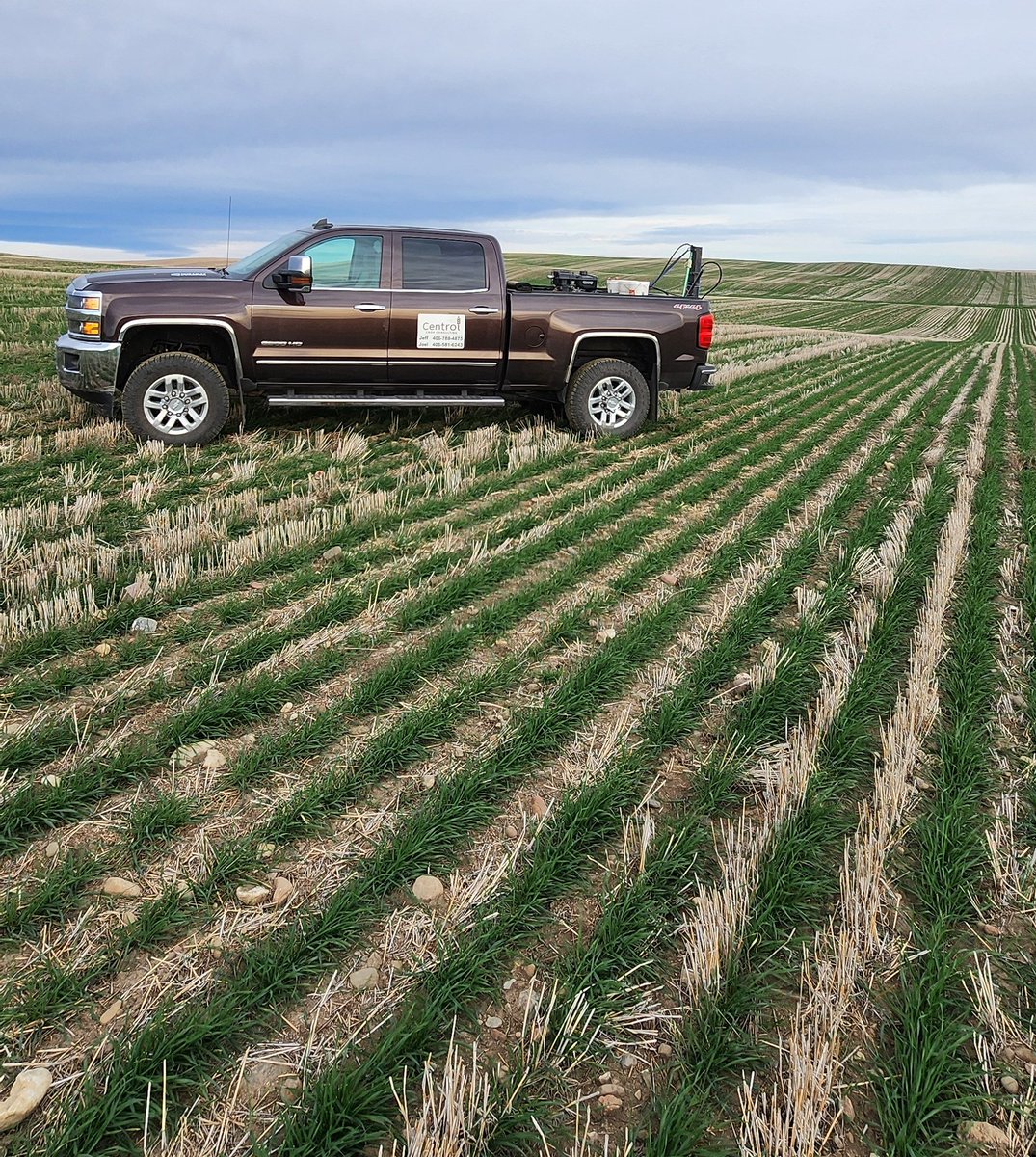 mtguy937's tweet photo. Nice looking winter wheat to be driving through and poking holes in the ground.  #soilsampling #montanaag #winterwheat https://t.co/CIA6SUVUDF