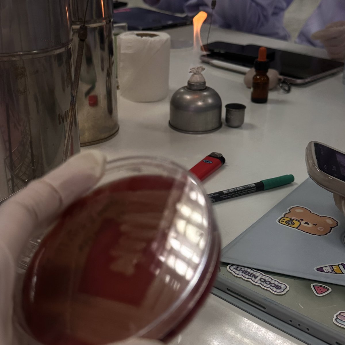 อยู่บล้อค infectious เกือบๆจบเทอม1ละ ไว้เดะมารีวิว ตอนนี้จะตายแล้ว 🫠