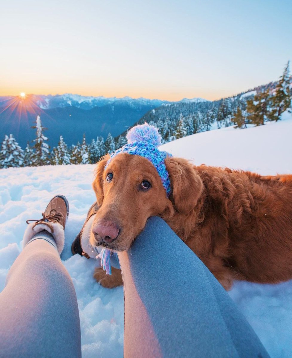 This is Mason. He loves looking at a beautiful view. Thinks these landscapes are pretty nice too. 13/10