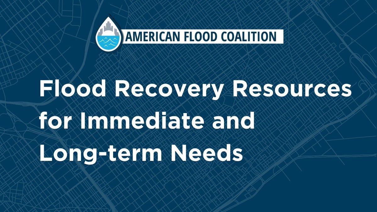 American Flood Coalition tweet media