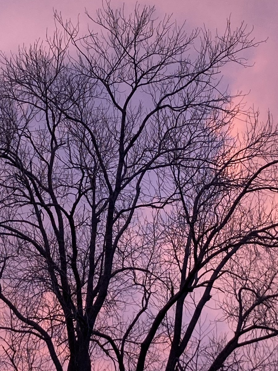 SurfMadDad tweet media