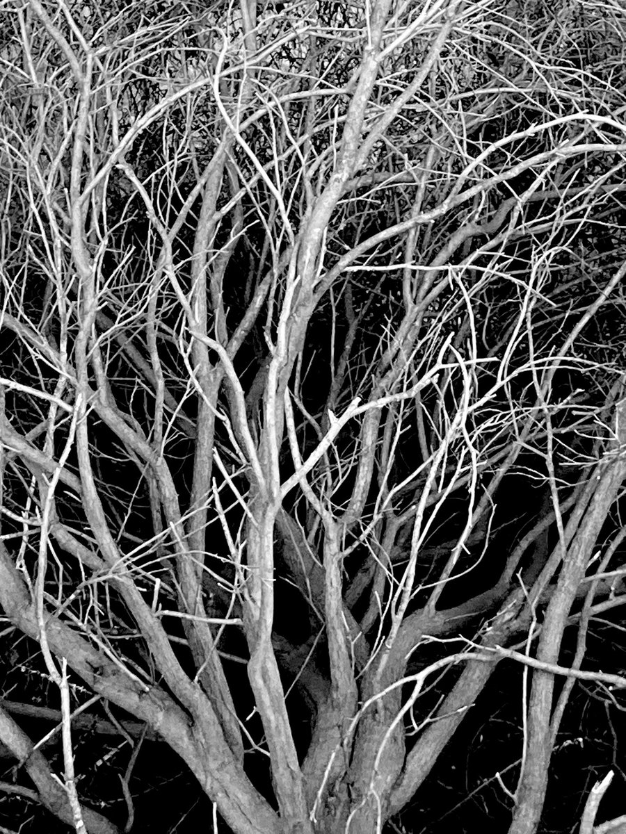 SurfMadDad tweet media