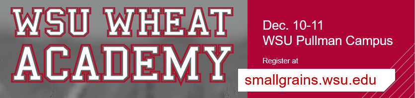 WSUSmallGrains's tweet photo. Growers and industry professionals from all over the PNW are invited to the WSU Pullman campus to learn about #diseasediagnostics, #insectpest management, #herbicide decisions, #nutrientmanagement, and much more at the 2024 Wheat Academy.
Register today! https://t.co/Rw5DxsrkSB https://t.co/Y6R1oPKCHk