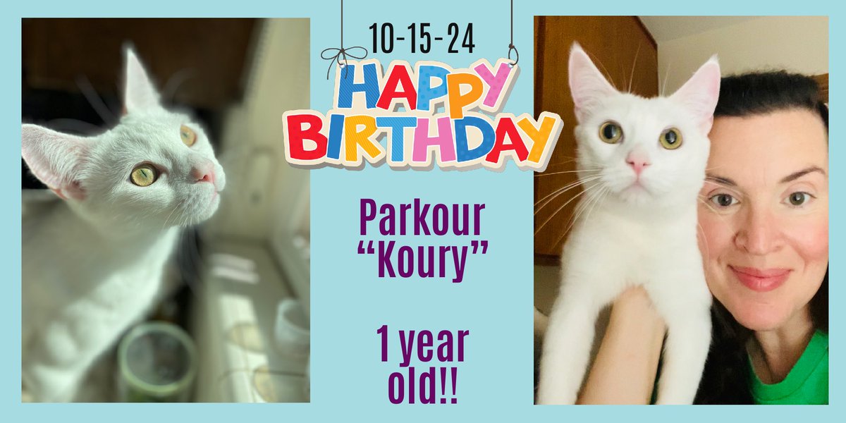 MistiB320592's tweet image. Koury’s 1st birthday🥳 At the end of March I adopted him from a shelter 30 minutes after I chatted with a stranger; the super sweet, funny, and caring @TrevDon while he was adopting Roscoe, and it led me to @TrevDonoFans !
💕1st consider shelter adoption💕