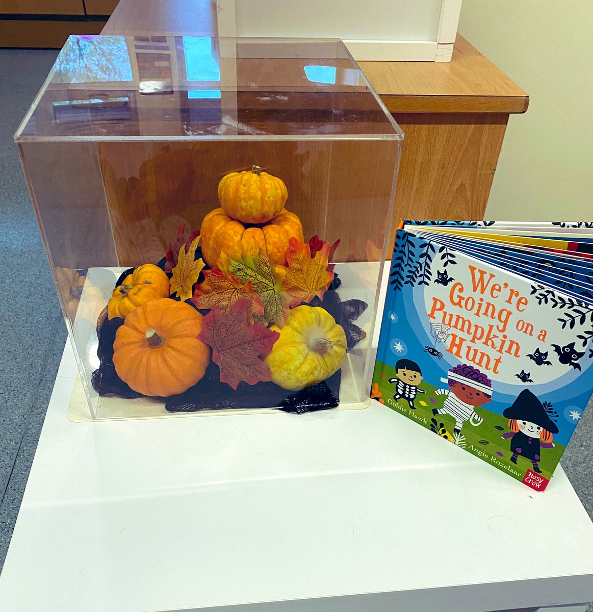 Wyberton Hedgehogs (@wyberhedgehogs) on Twitter photo Autumn has arrived here in the Hedgehog class! 🍂 🍁 <a href="/WybertonPrimary/">Wyberton Primary Academy</a> Autumn has arrived here in the Hedgehog class! 🍂 🍁 <a href="/WybertonPrimary/">Wyberton Primary Academy</a>