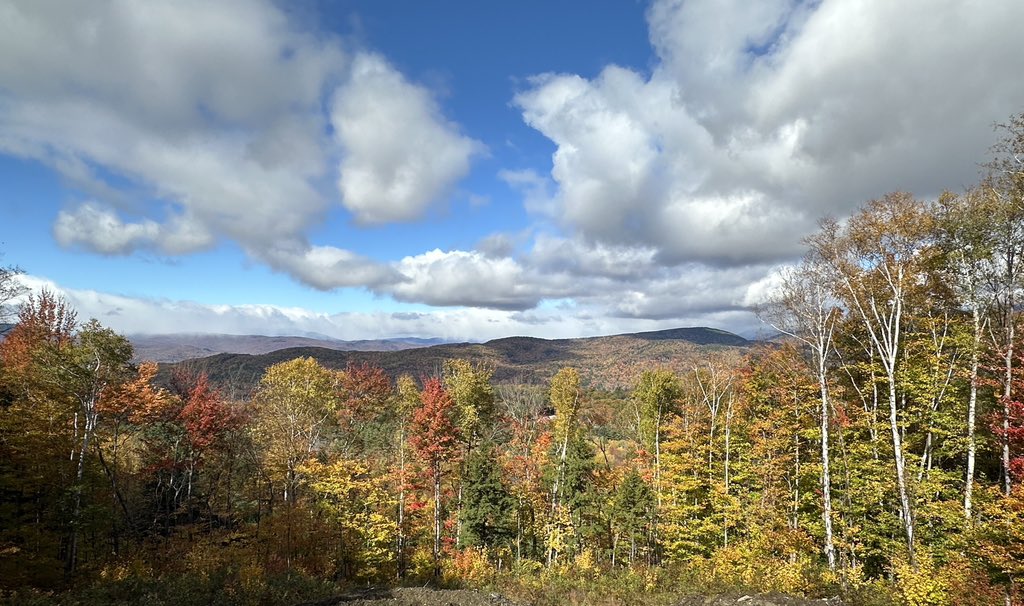 live_free_603's tweet photo. Imagine not living in New Hampshire https://t.co/QndQLU4QOz