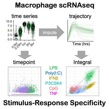 Molecular Cell tweet media