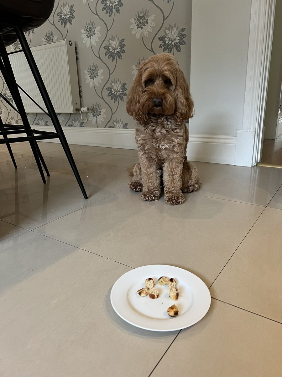 DiggersDigby's tweet image. I had sausages ! 🥰