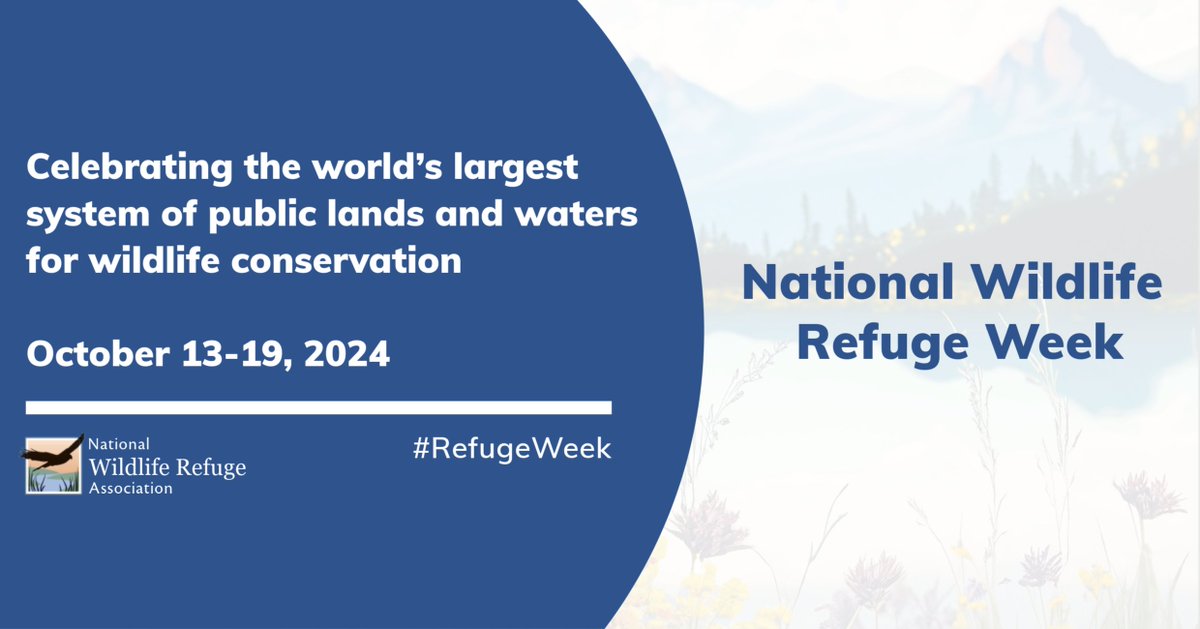 🎉 It’s #RefugeWeek! 🌿 Join us from October 13-19, 2024, as we celebrate the world’s largest network of public lands and waters for wildlife conservation. Check out our toolkit to see how you can get involved refugeassociation.org/s/2024-Refuge-…🦋💚
#WildlifeRefuge #Conservation