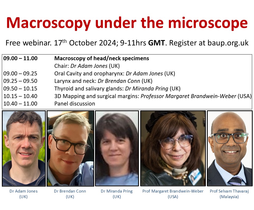 Join experts from UK, USA and Malaysia who will be discussing issues around macroscopic examination of head &amp; neck specimens in this free webinar on 17th October 2024. Register at baup.org.uk.
