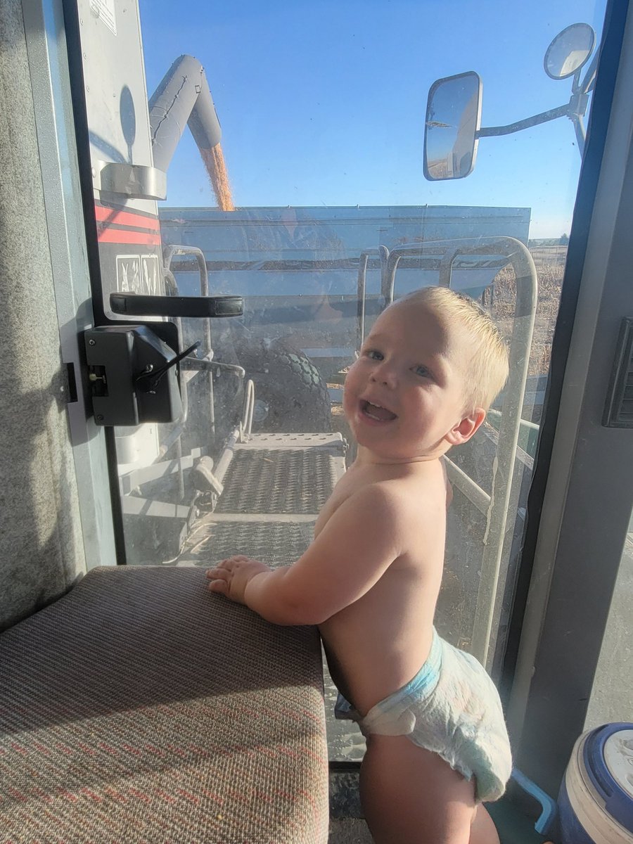 Somebody is really excited for corn harvest