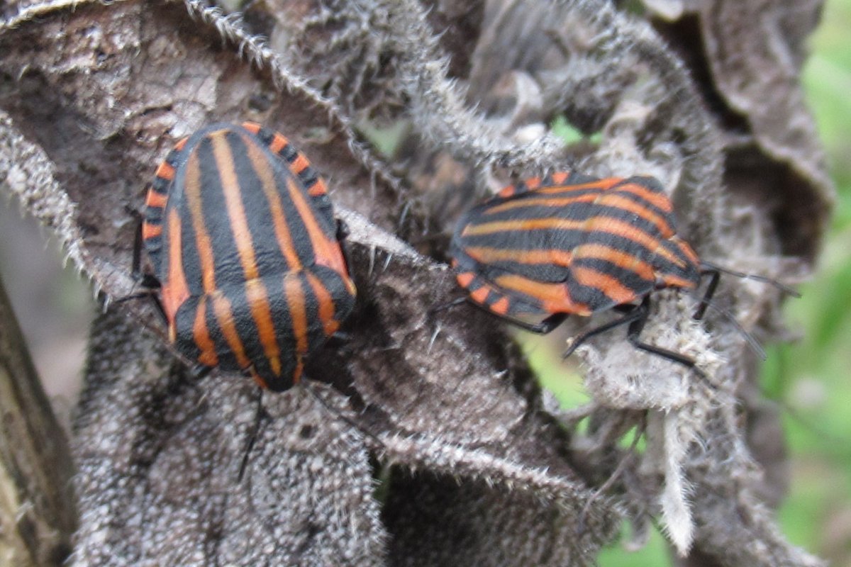 Andrew Jewels tweet media