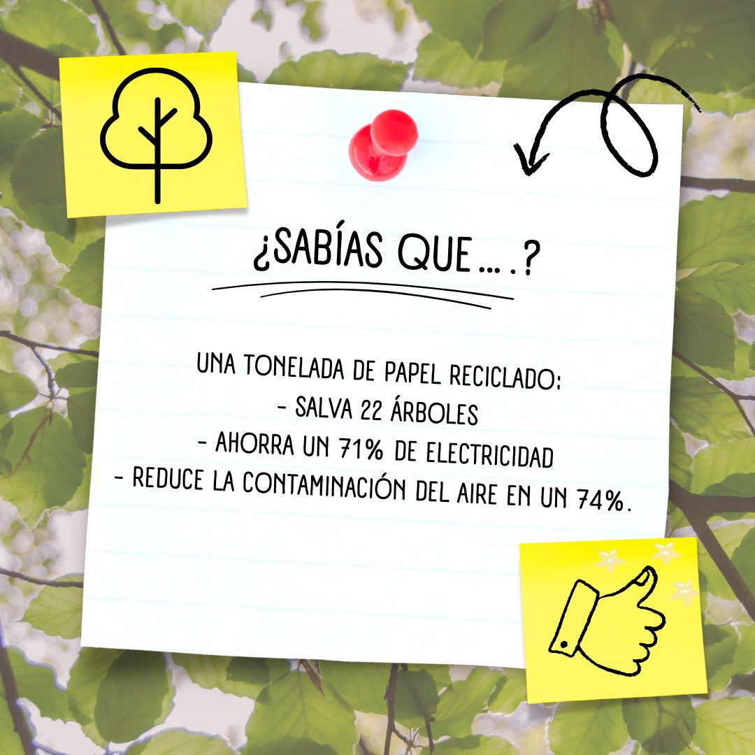 Dirección de Medio Ambiente tweet media