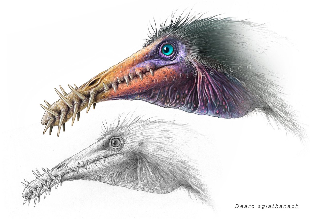 DragonsofWales 🇪🇺🏴󠁧󠁢󠁷󠁬󠁳󠁿 tweet media