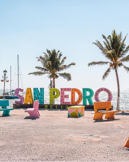 belizevacation's tweet photo. San Pedro is where the fun never stops! 🌞🌴Relax at beachfront bars, dance to island rhythms, and soak in the laid-back vibes. And don’t forget to snap your pics at the famous San Pedro sign for the perfect memory! 📸🌊✨ #TravelBelize
📸: @tropicairbelize https://t.co/X8NFZXhR62