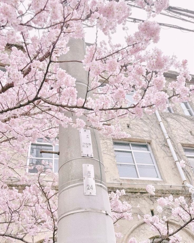 ira₊˚♡ tweet media