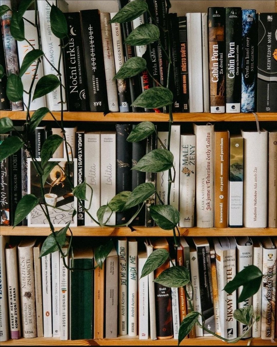 ohnosheknows's tweet photo. books and coffee https://t.co/5v56KAq4Y4